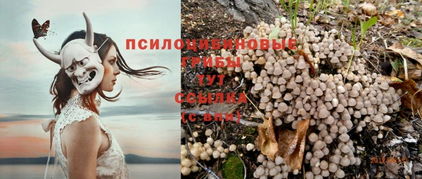 кокс Дмитриев