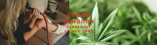 кокс Дмитриев