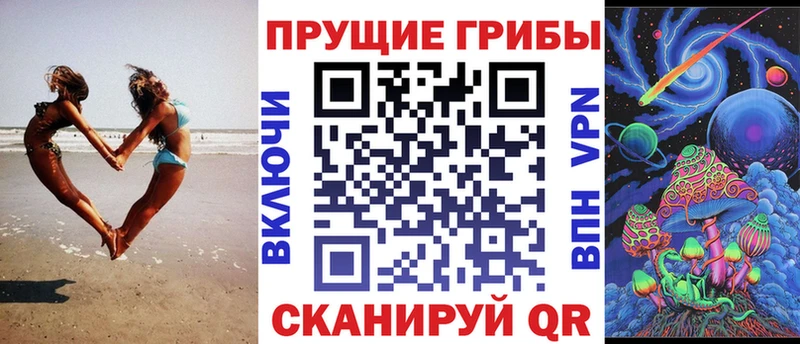 Псилоцибиновые грибы Psilocybe  Заозёрск 